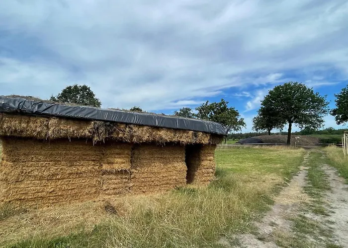 Family With Go-karts