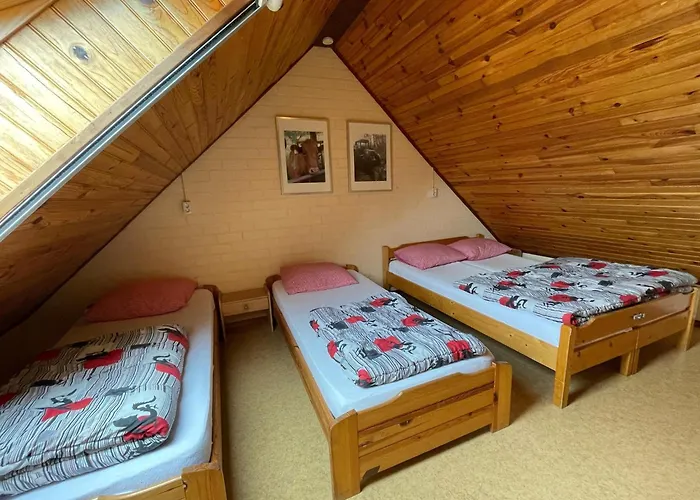 Family With Go-karts Hébergement de vacances Uden