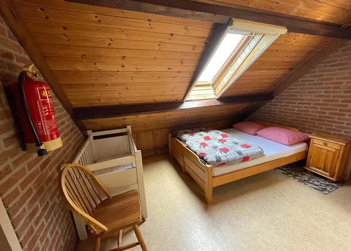 Family With Go-karts *