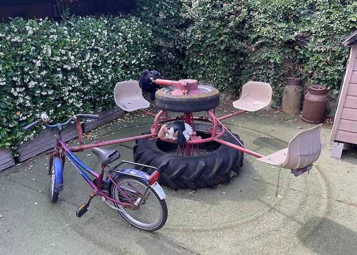 Family With Go-karts