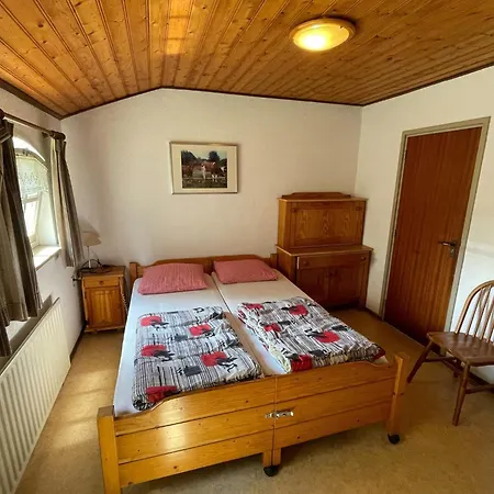 Family With Go-karts *