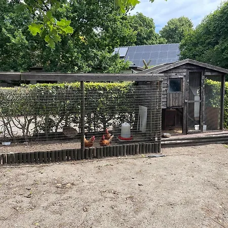 Ferienhaus Family With Go-karts Uden