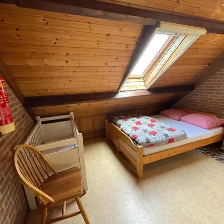 Family With Go-karts *