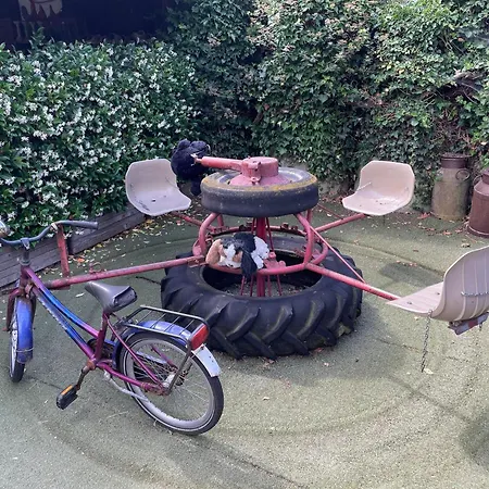 Family With Go-karts