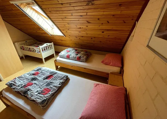 Family With Go-karts *