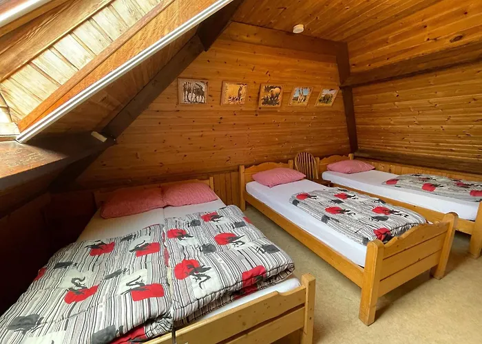 Family With Go-karts