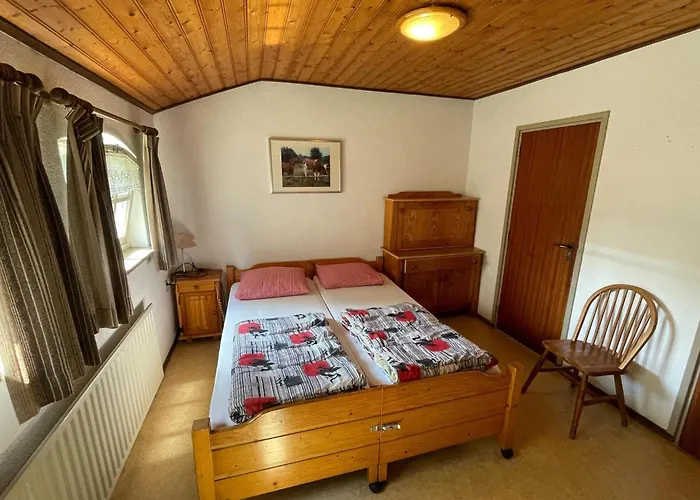 Family With Go-karts *